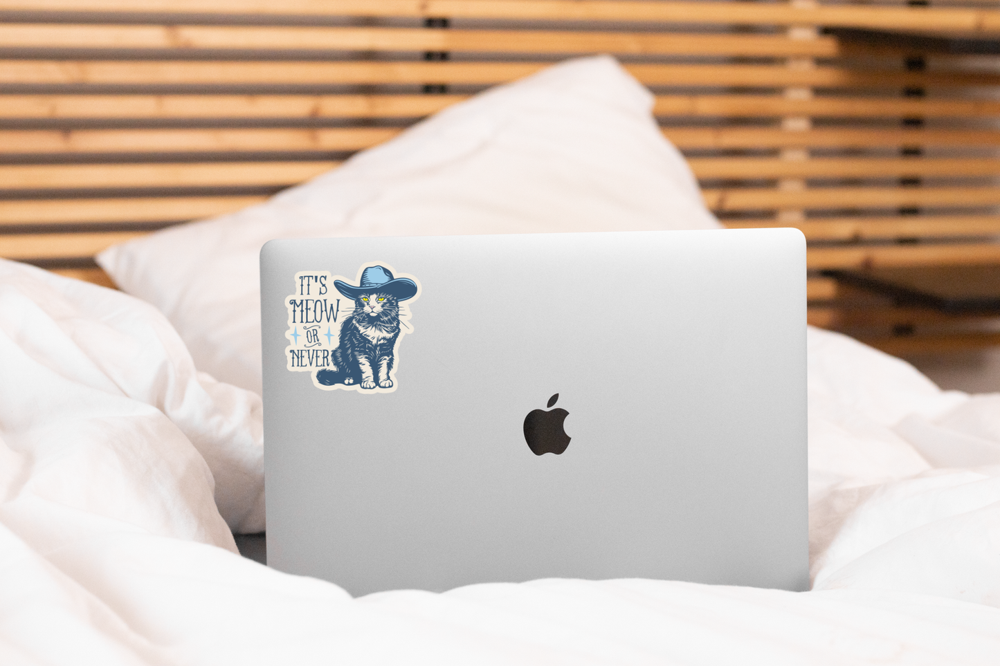 It's Meow or Never Sticker - cat, pet store, cowboy, western