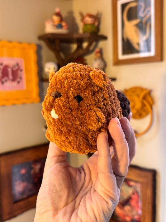 Beaver
