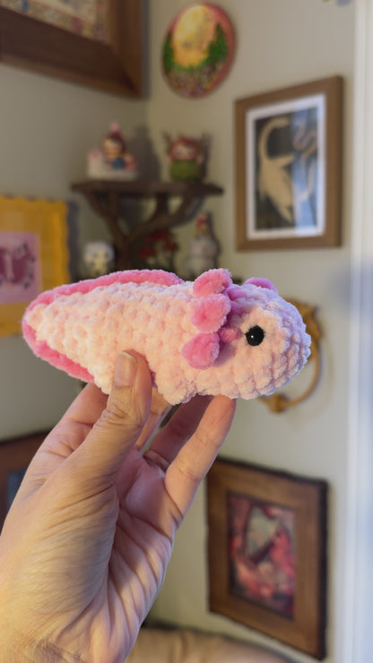 Axolotl