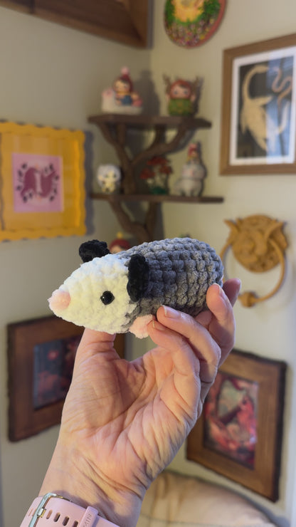 Opossum
